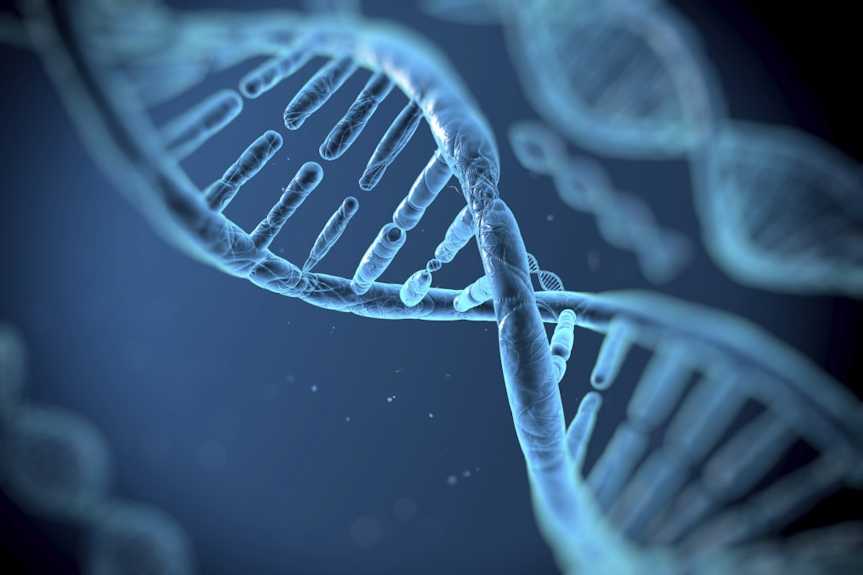 Is Your Personality Genetic?